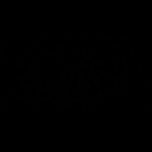 Meet your Posher, Marc